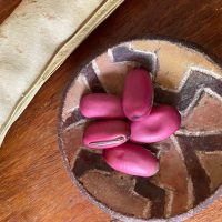 FEIJÃO ESPADA FEIJÃO ESPADA