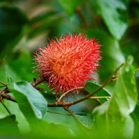 pexels-marri-smith-2153296504-32653039 pexels-marri-smith-2153296504-32653039